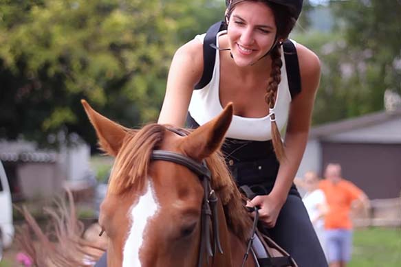 Balaton horse riding - Trip to Lake Balaton, scenic tour