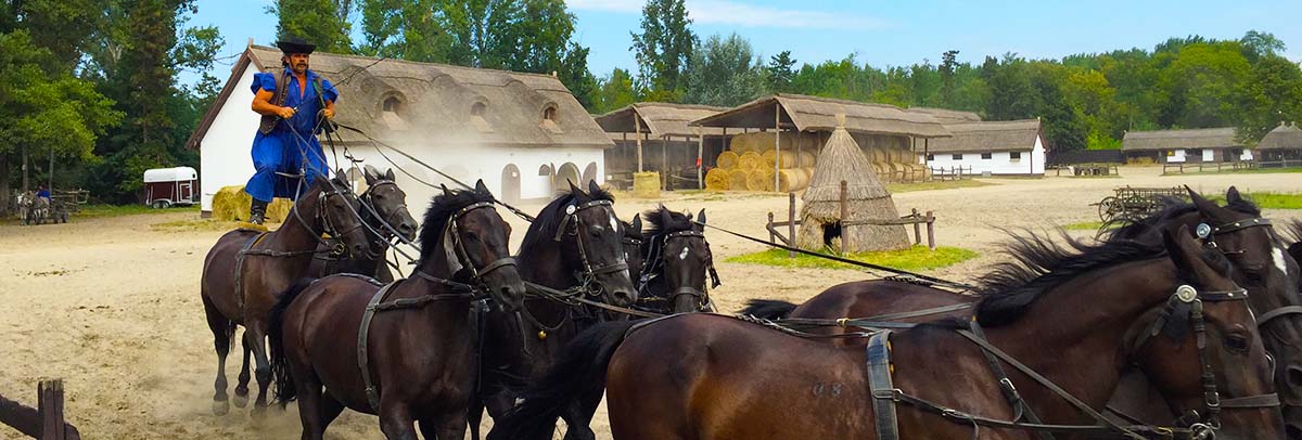 Puszta Program - lovasbemutatóval a Kiskunsági Nemzeti Parkban